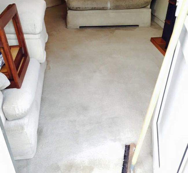 carpet before cleaning