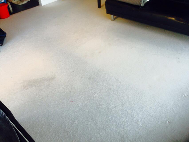 carpet after cleaning